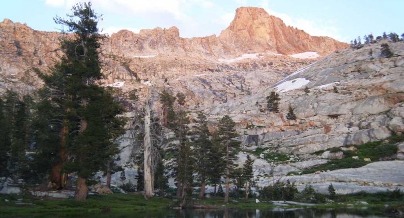 A grassy field appears in front of evergreen trees and mountains in the background.